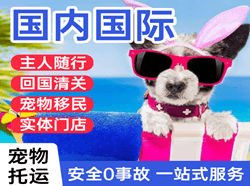保山云瑞航空托运国际宠物托运 【国